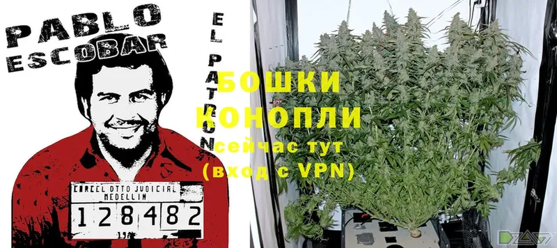 гидра зеркало  Северодвинск  МАРИХУАНА THC 21% 